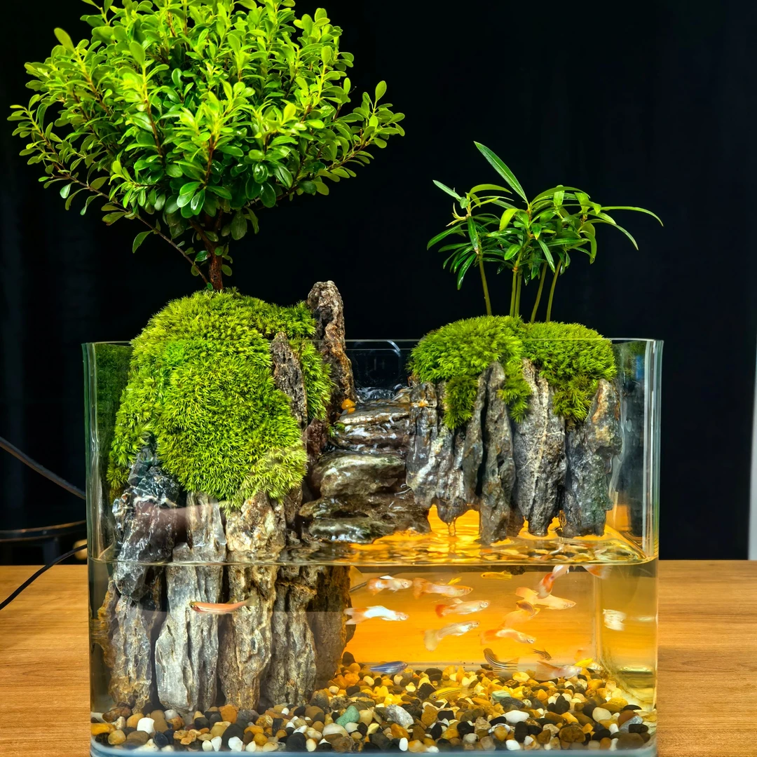 云媚-尺寸长25宽高厘米成品桌面绿植客厅水陆缸可养鱼