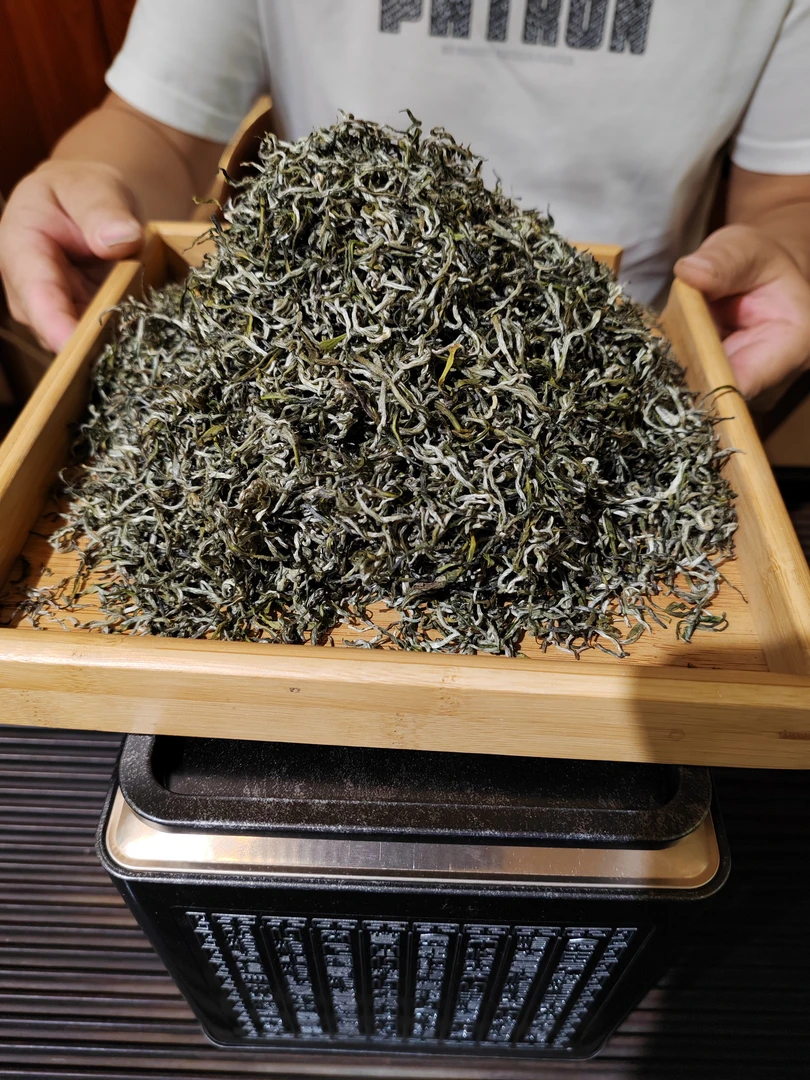 云南普洱茶绿茶单芽银丝云抗十号爆款高品质2025春茶新茶
