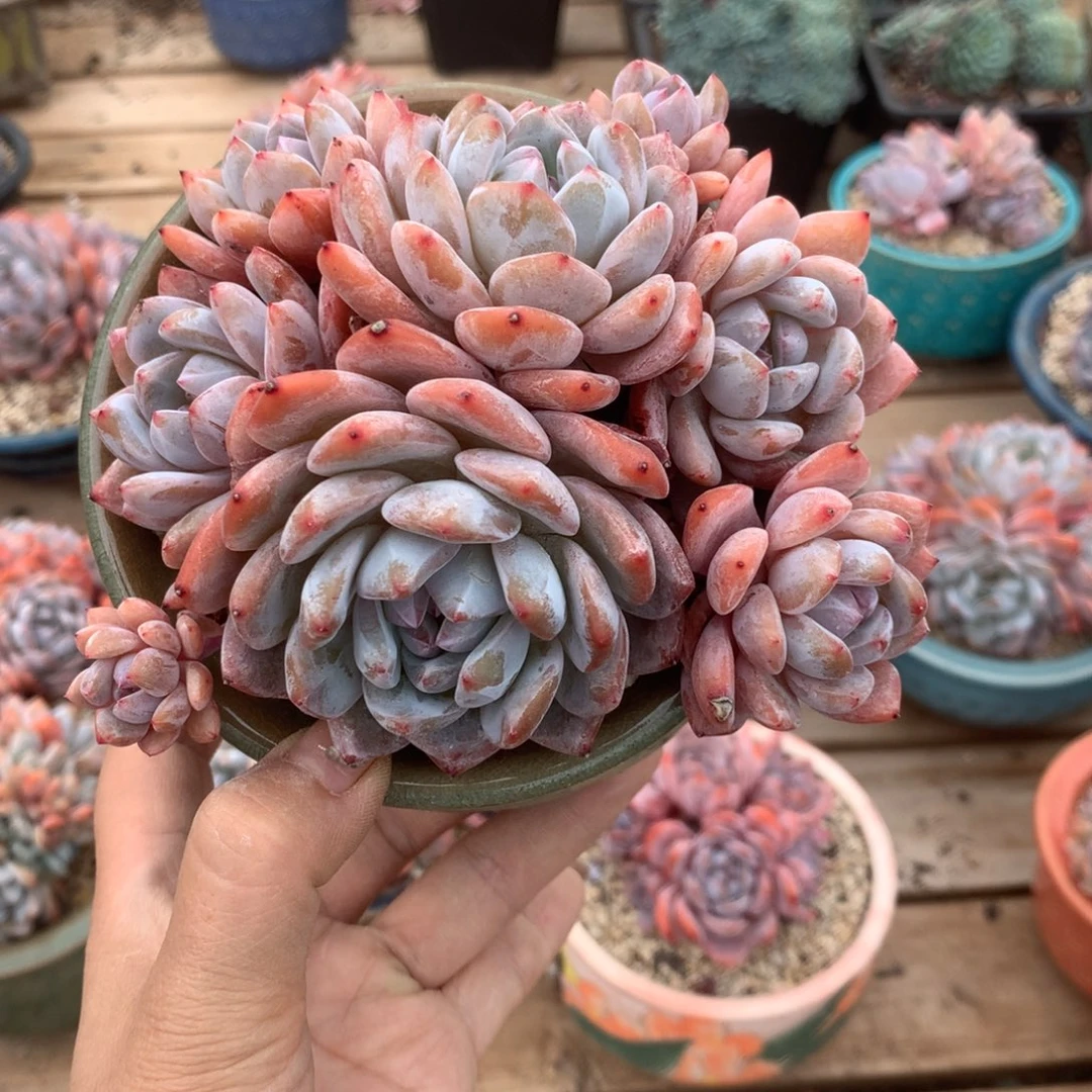 哈哈哈哈哈哈哈哈哈哈哈哈