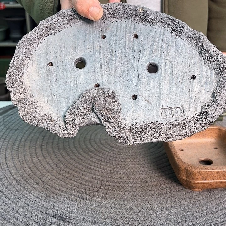 紫砂花盆A*涛紫砂的花也太漂亮