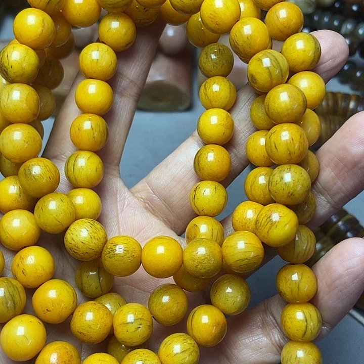 大果紫檀（缅甸花梨）