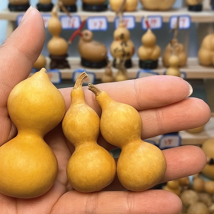 青***姨直播间手把小葫芦