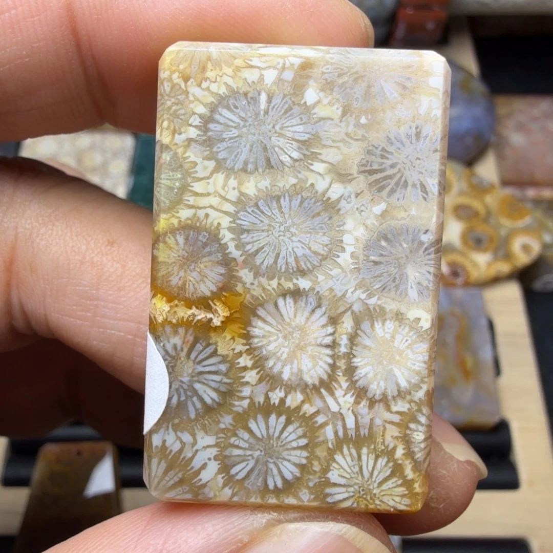 硅化玉未镶嵌纯天然色有机玉石保真色