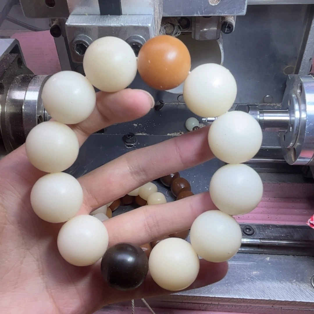 手串菩提根/象牙果