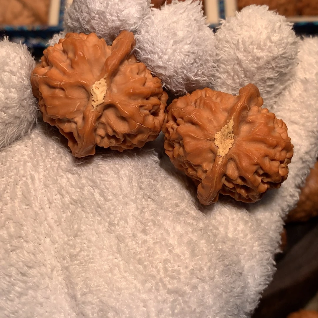 把件文玩核桃33 红莲