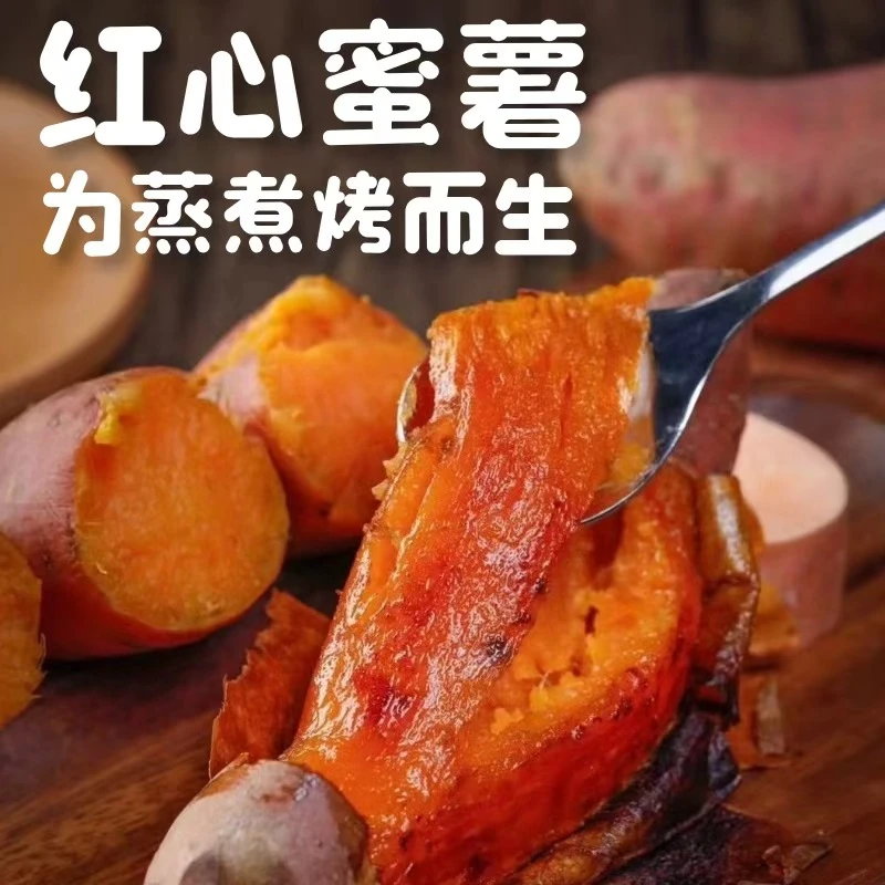 【农田直达高品】河南沙地西瓜红蜜薯红薯地瓜软糯香甜无筋无丝糖心