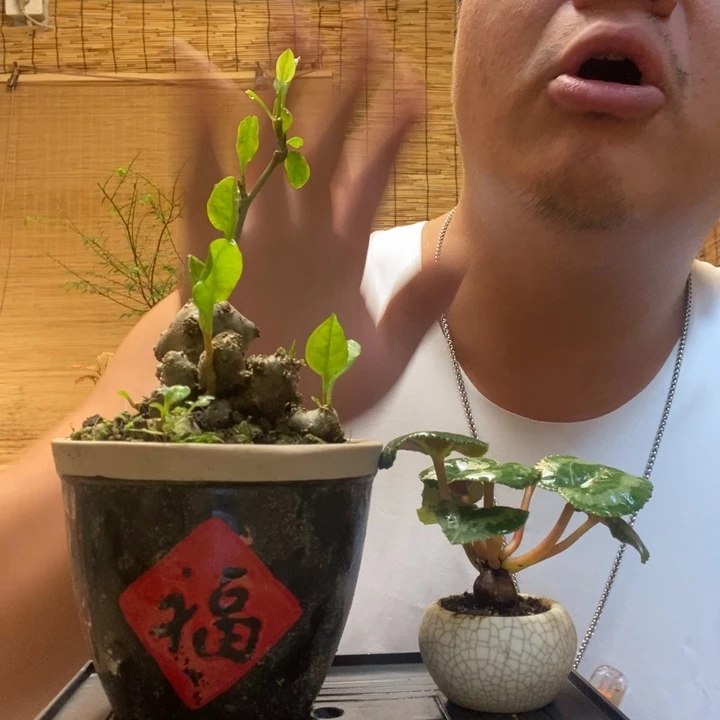 只****?一物一拍所见即所得519