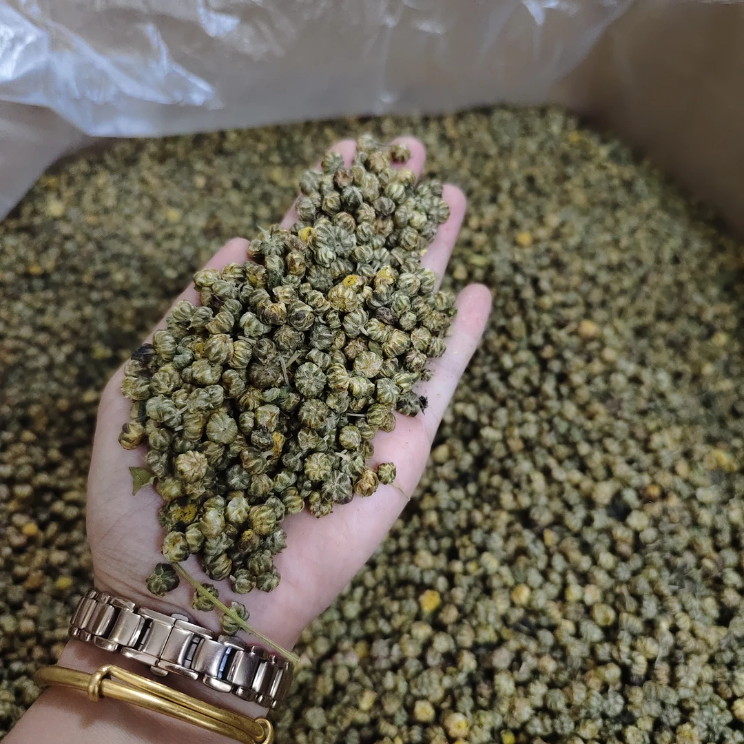 ［小胎菊］花香味浓泡水泡茶煮水