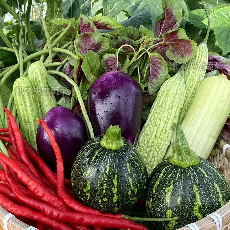 农家种植山货蔬菜干货组合