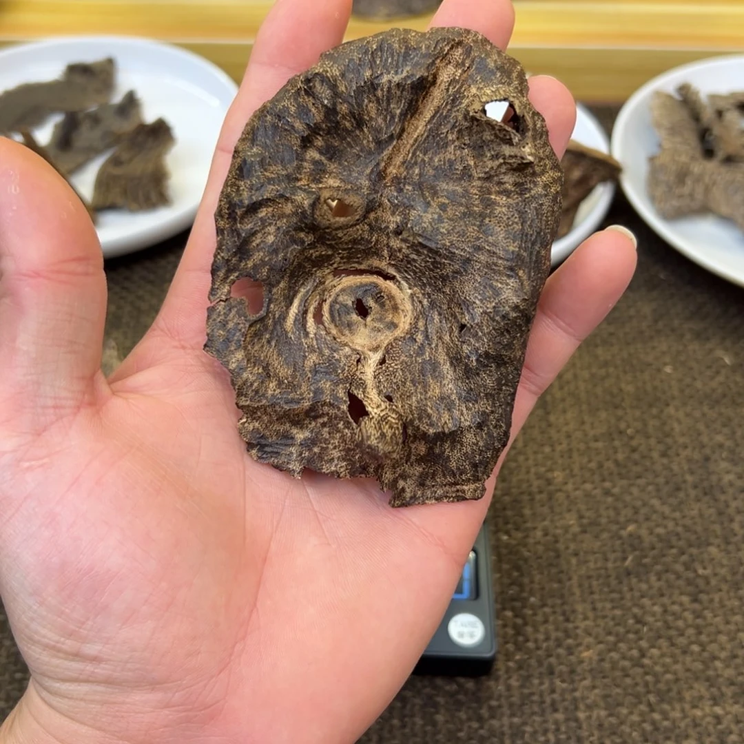 海南天然老顶13.2g