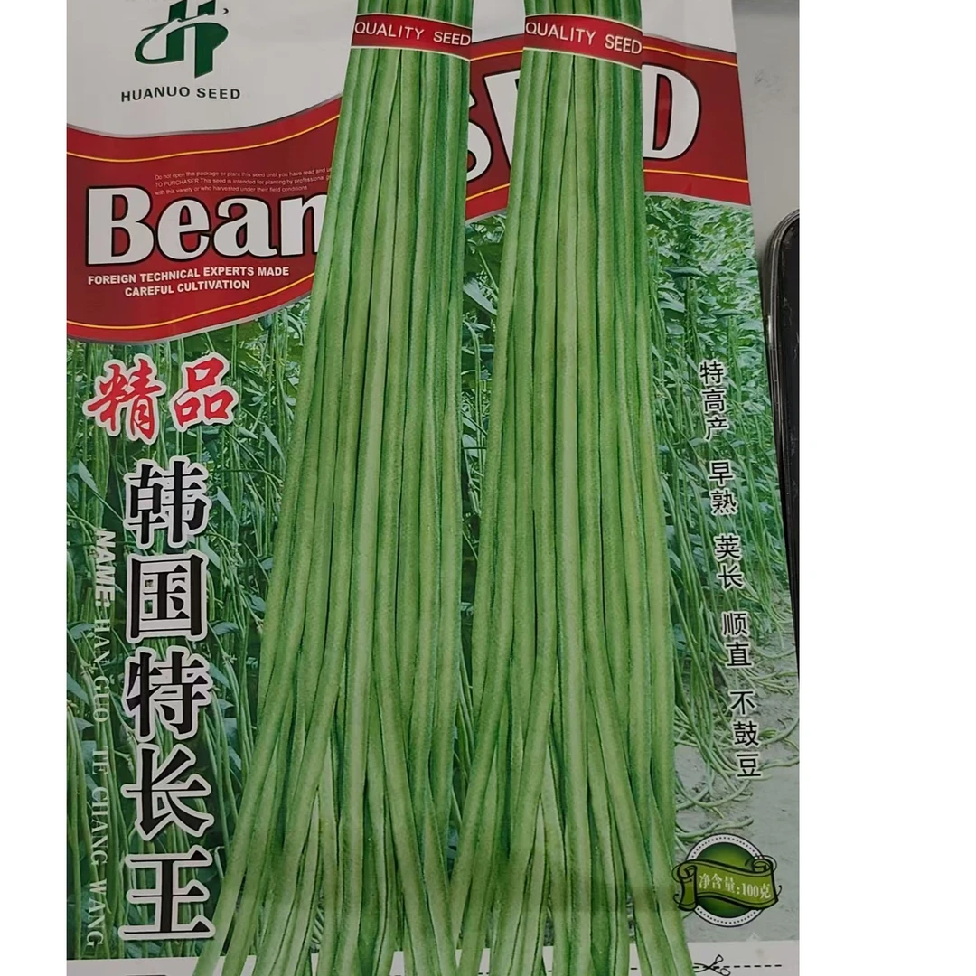 韩国特长王精品豆角种子