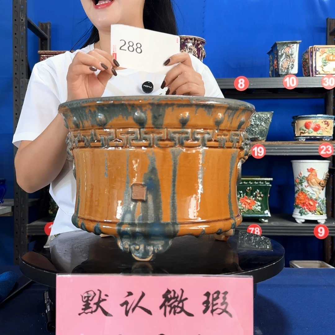 玖***1288石湾微瑕 闪购