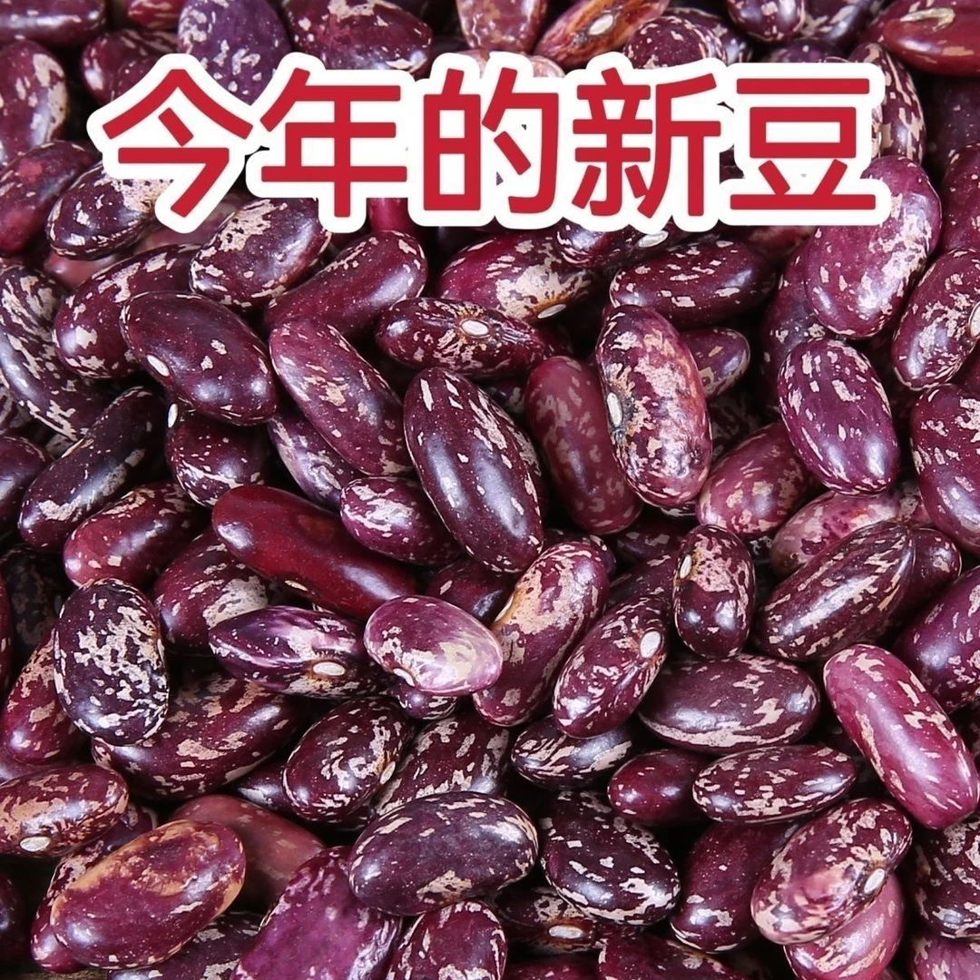 贵州紫花新豆饭豆芸豆花豆四季豆五谷杂粮豆米酸菜红花豆干货炒菜