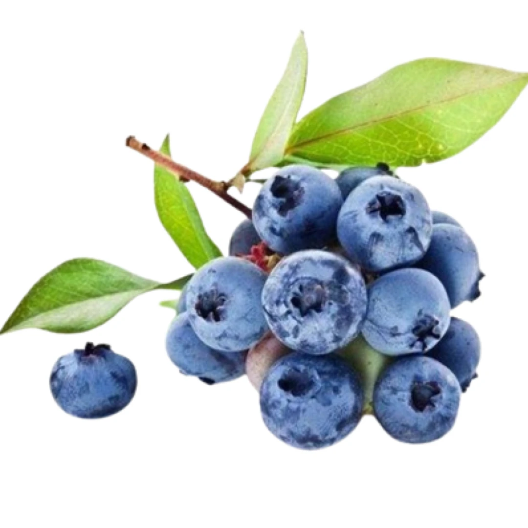 云南花香蓝莓12➕规格13mm-15mm云南省