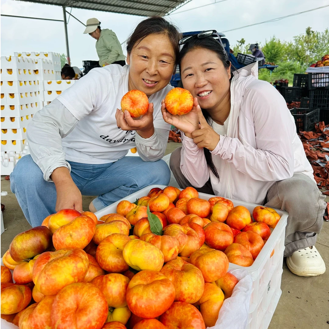 【农村小鱼娃专属】【顺丰】枣阳头茬露天黄蟠桃果园直发脆甜爽口