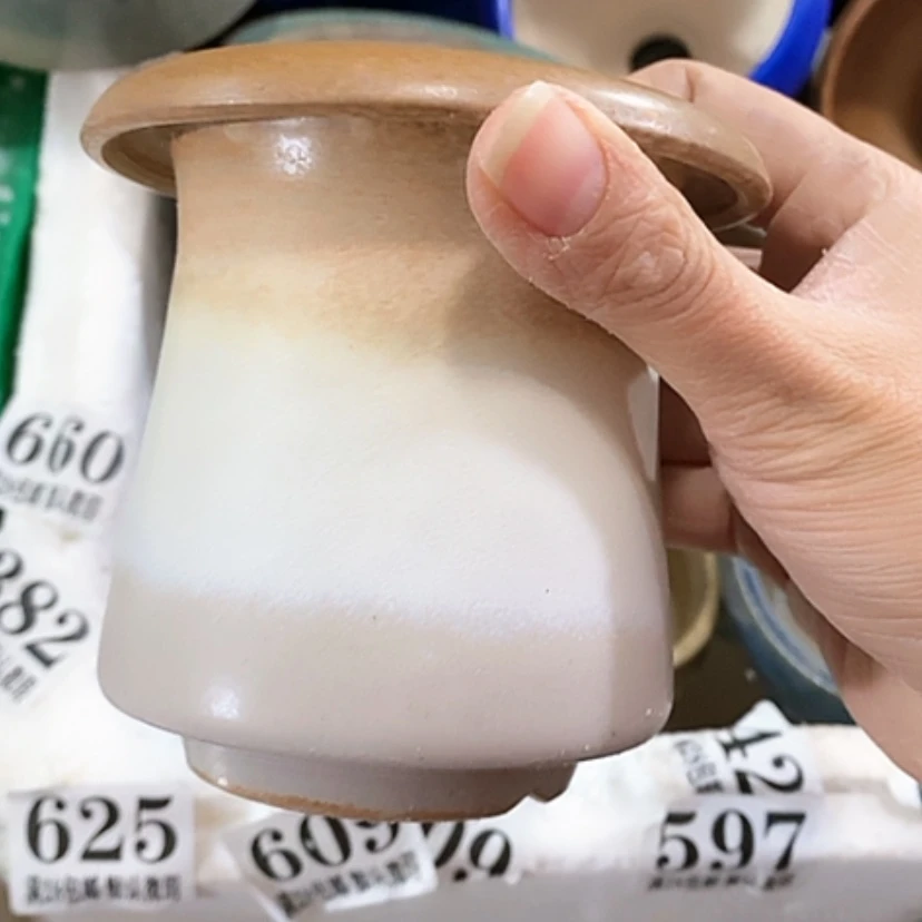 【闪购商品】红陶口7.5