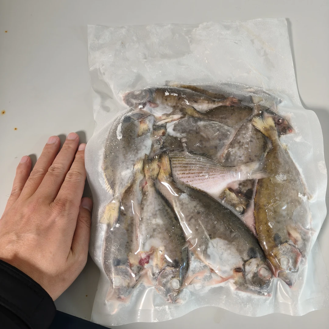 尝鲜福利 鲜冻厦门本港野-生泥猛小杂鱼 450g/份