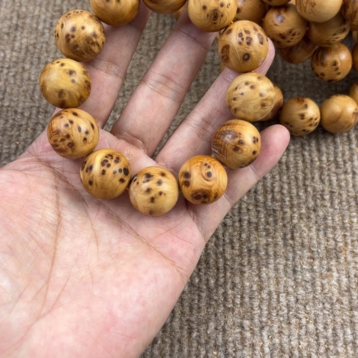 木太行崖柏2.0。。。。。。。。