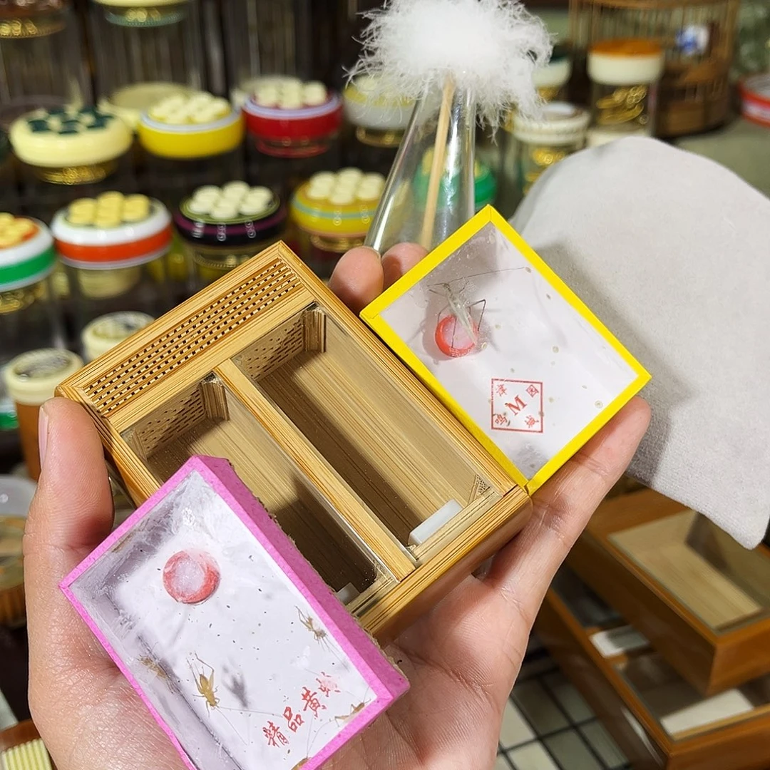 蟋蟀老竹竹蛉盒+过虫器+竹蛉+小黄蛉+布套