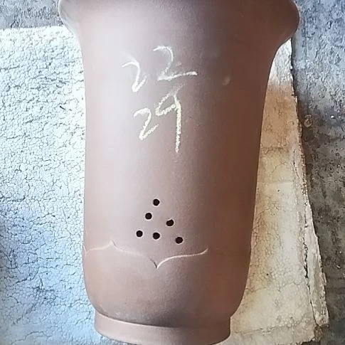 莲花金钟一个花盆