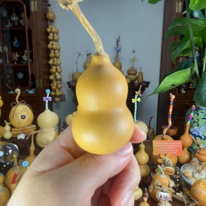 厚皮葫芦满籽葫芦