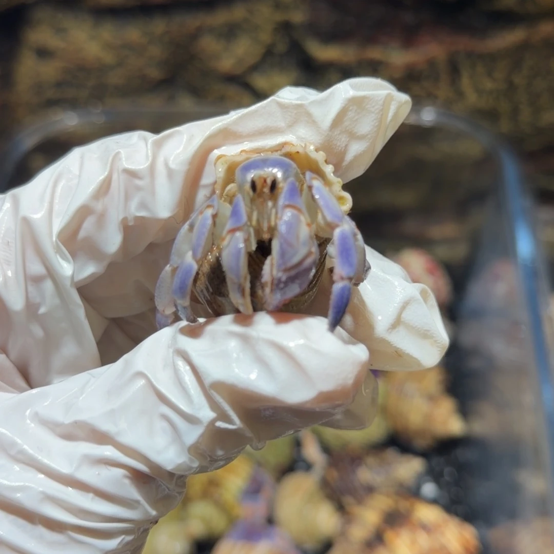 23号 我的大宝贝专拍