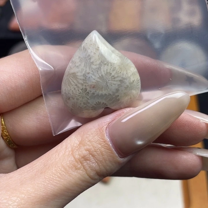 未镶嵌吊坠硅化珊瑚（珊瑚玉）