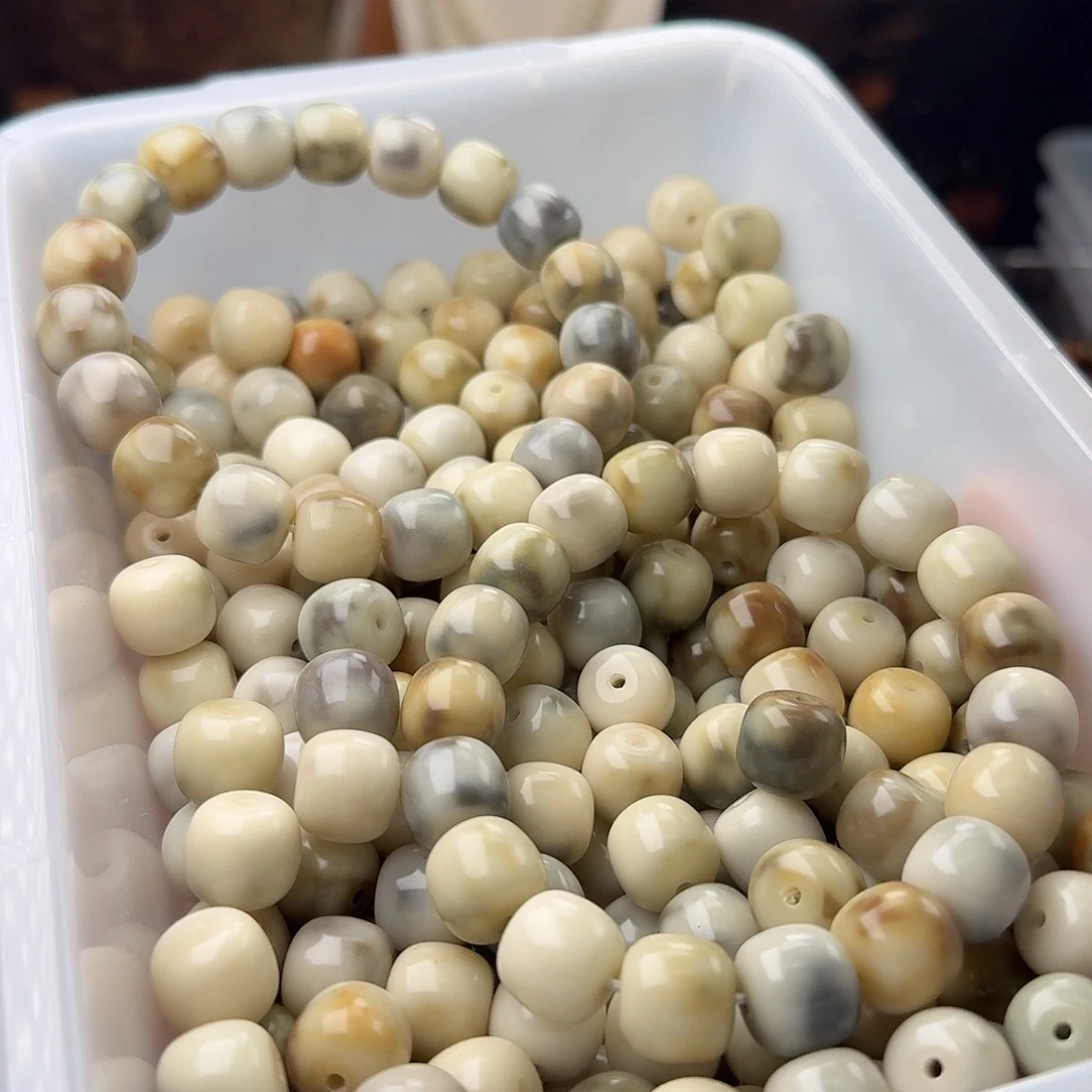 吊坠菩提根/象牙果50 颗霉豆腐 13 骨瓷桶