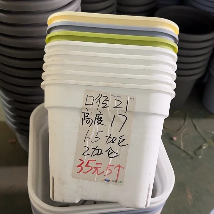 方21口径5个新款白色5个带托