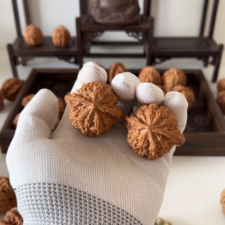 核桃全品盘龙纹无药