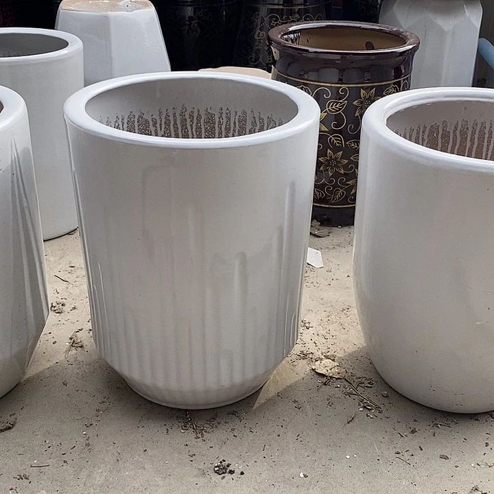 白音符中口26高32福利