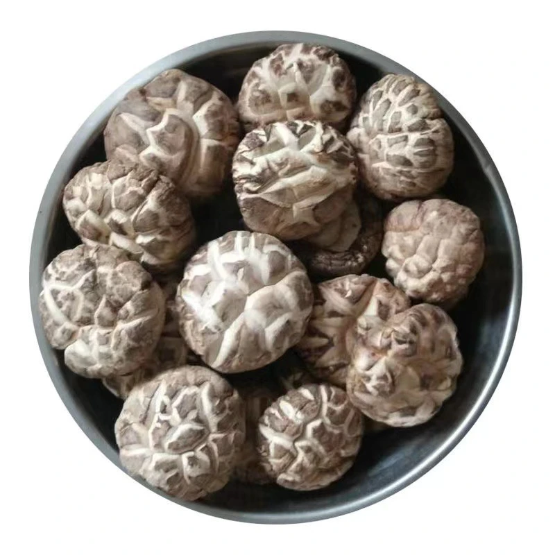 【产地直销】古田农家特产小花菇香菇食用菌干货散装批发无根肉厚