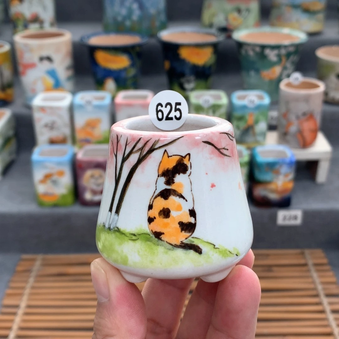 罐粉丝特惠活动专场