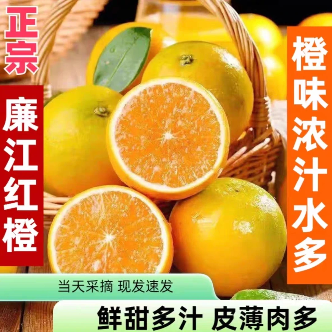 红江场老树橙，广东当季正宗廉江红江橙农场特产薄皮多汁10斤装