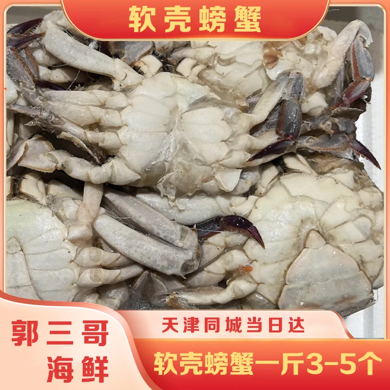 【冻蟹】三角蟹 双盖叉子混搭 到家是软壳一斤3只左右单只2-4两左右