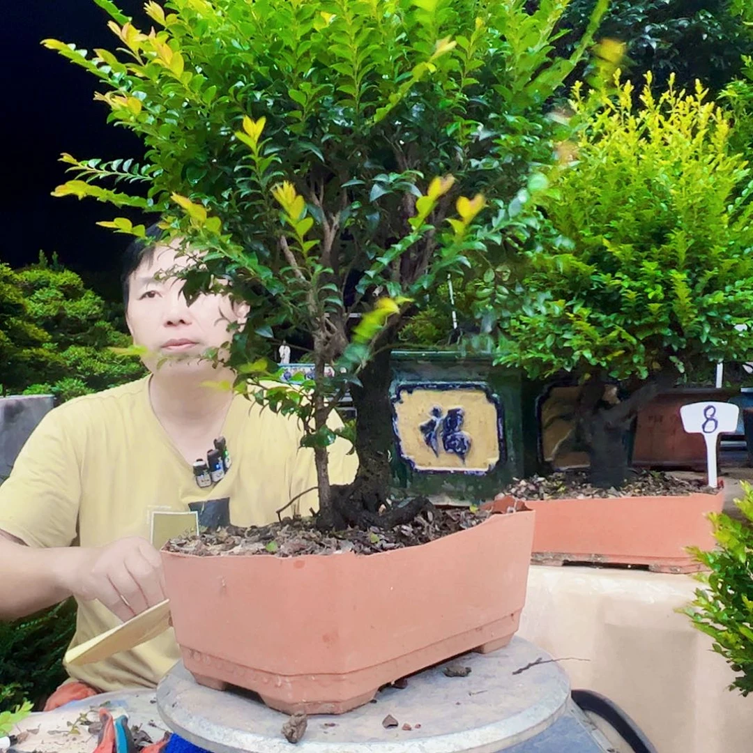 无花朵J****g12345678