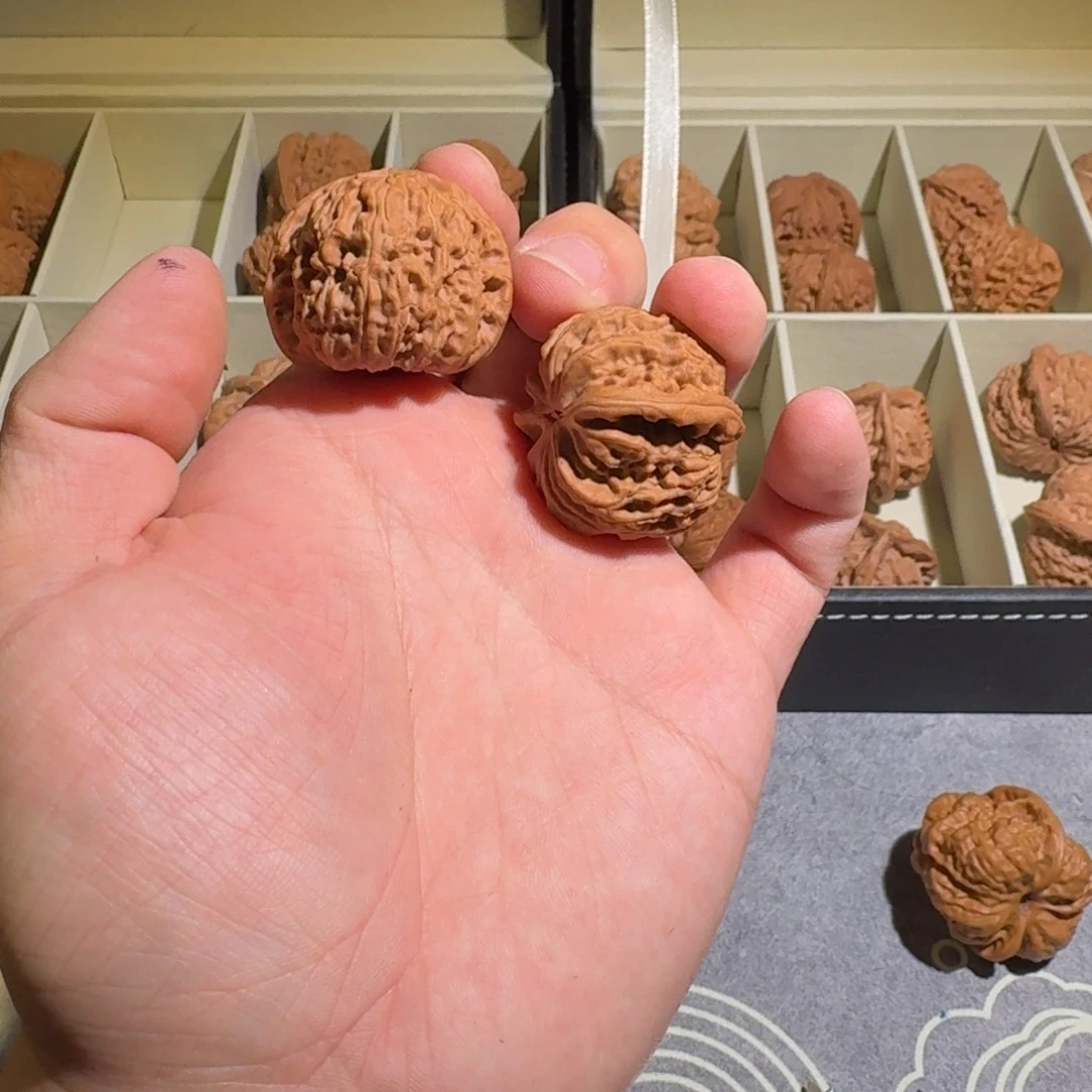 新***匙大叶紫檀（黑酸枝木类）