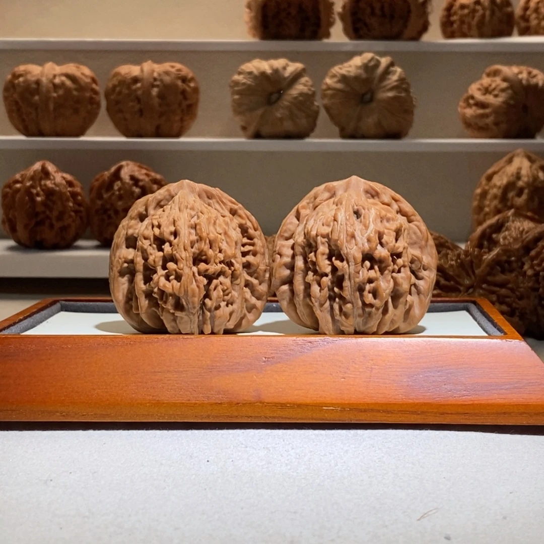 44全品四座楼原生态