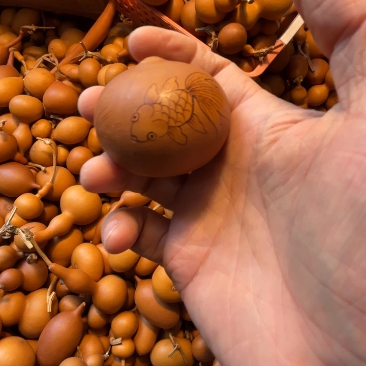 大***棠大鱼海棠的一把小鸡蛋葫芦