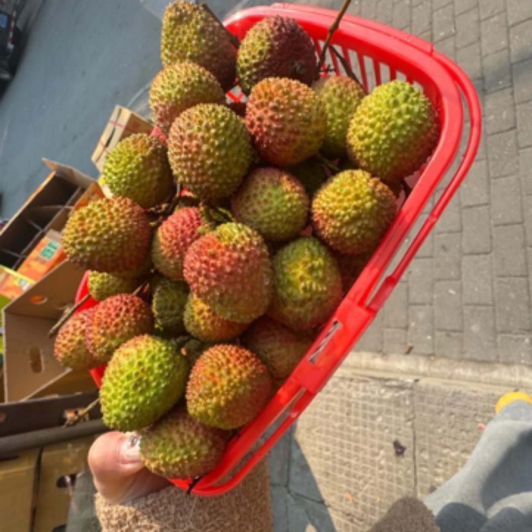 红底妃子笑荔枝（2斤/筐）云南省