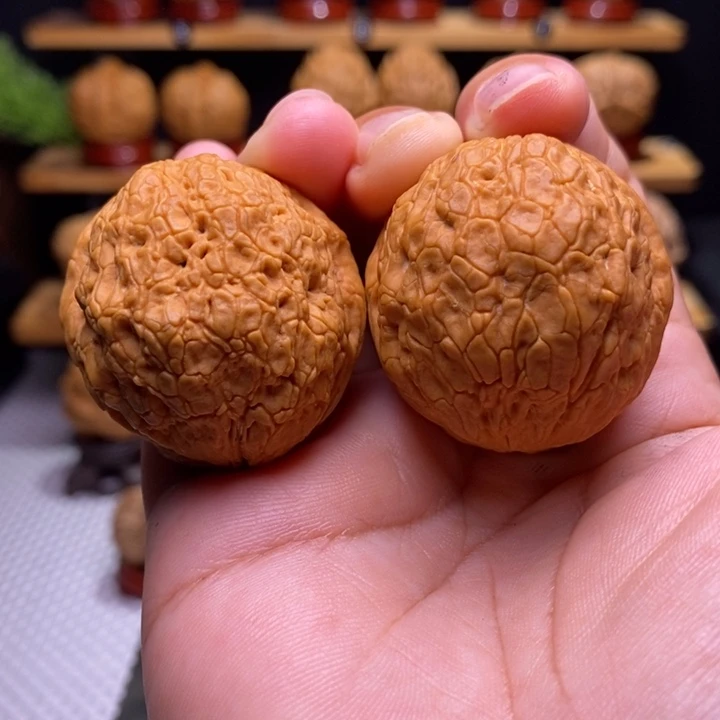 核桃云铁金丝绣球22号