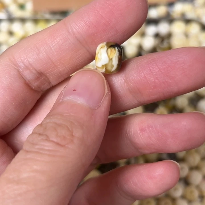 蜜蜡未镶嵌裸石9.4mm一个