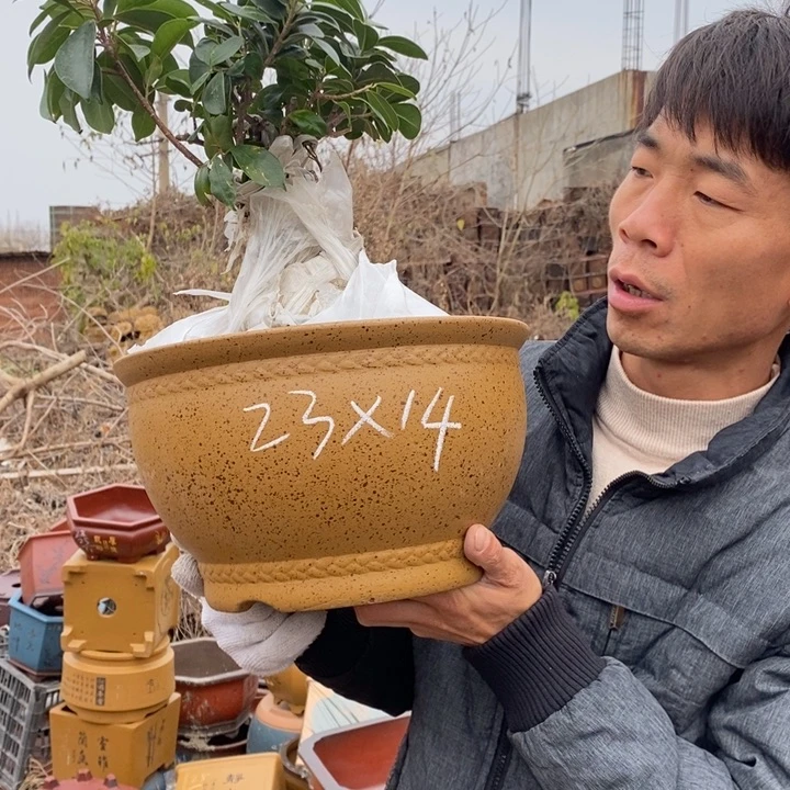 花盆紫砂紫砂艺术学院