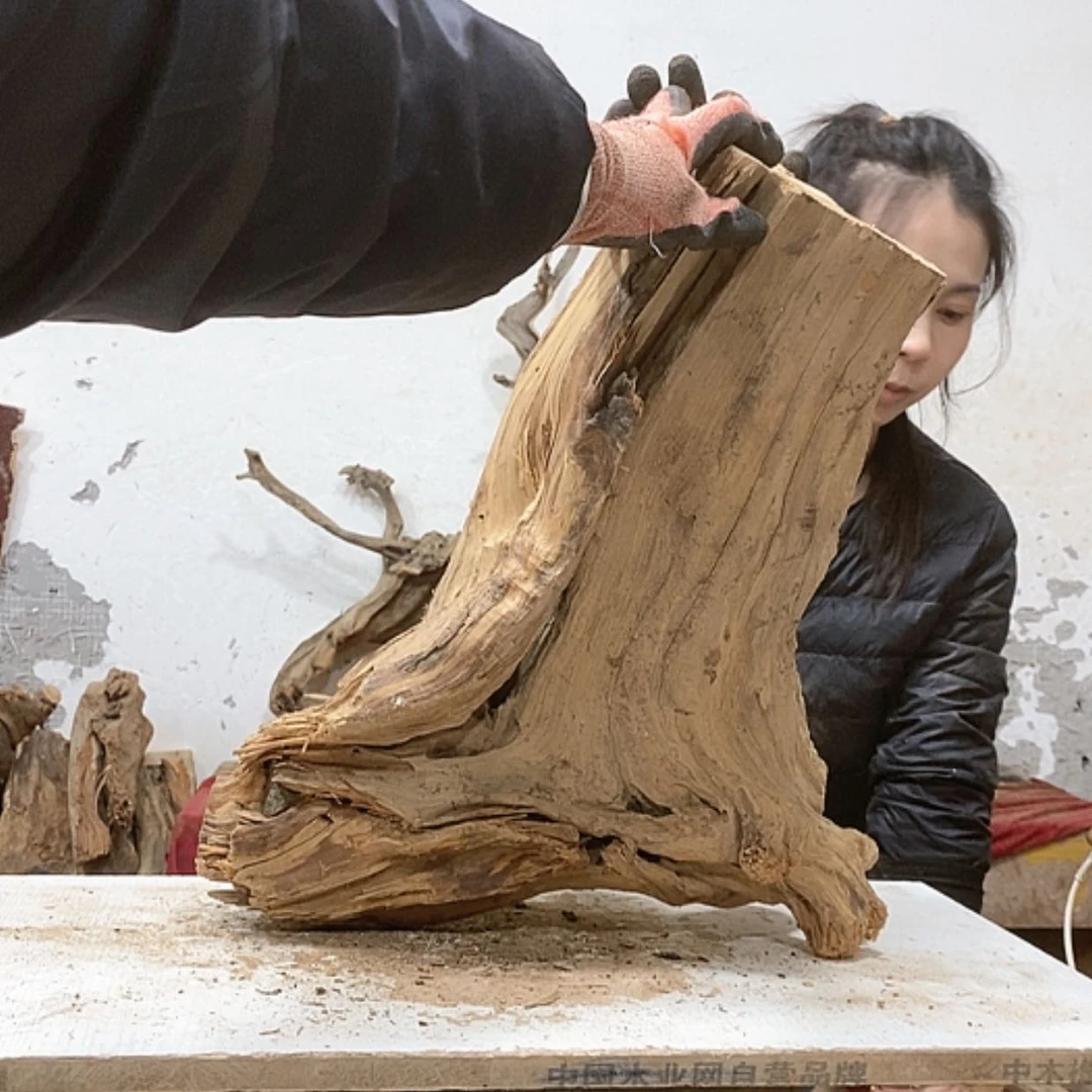 【闪购商品】柏木7*7我们都是好孩子