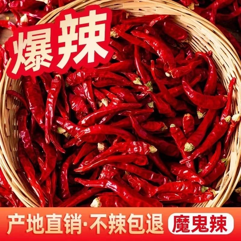 干辣椒《一斤装 优质调味当季新货不满意包退农家自种新鲜产》1