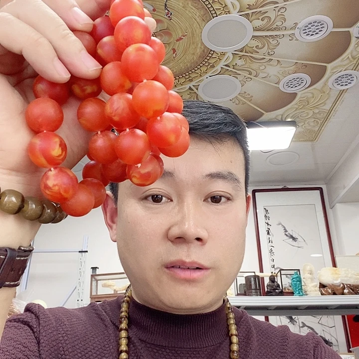 树脂非金属2512。