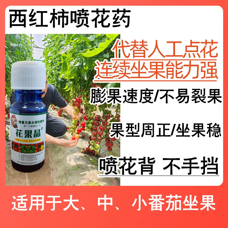 番茄催花座果喷花药柿子授粉免人工西红柿保花保果防落素点花伴侣