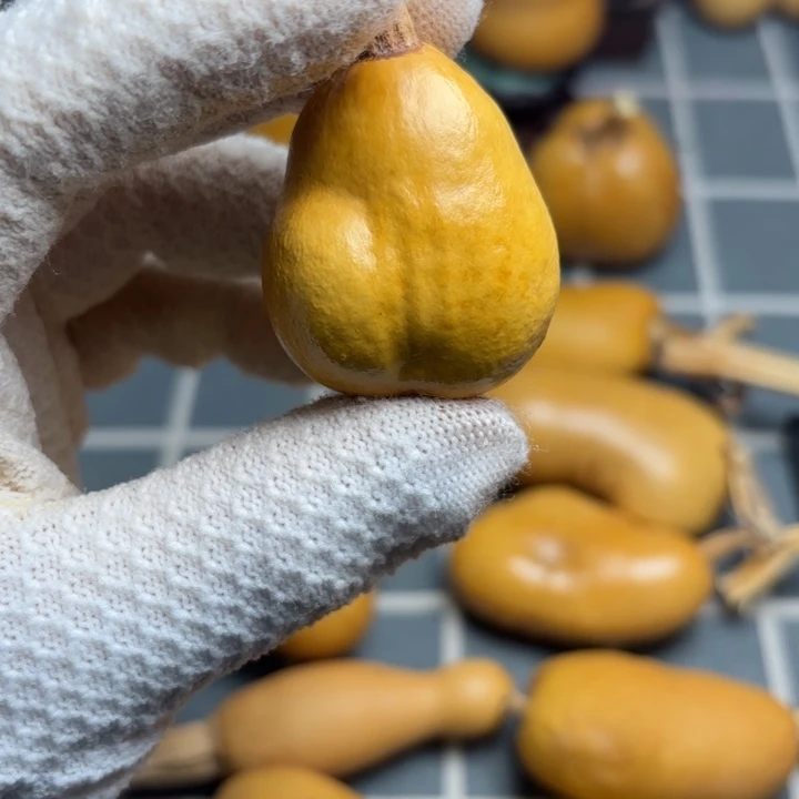 金****6666666666666666666