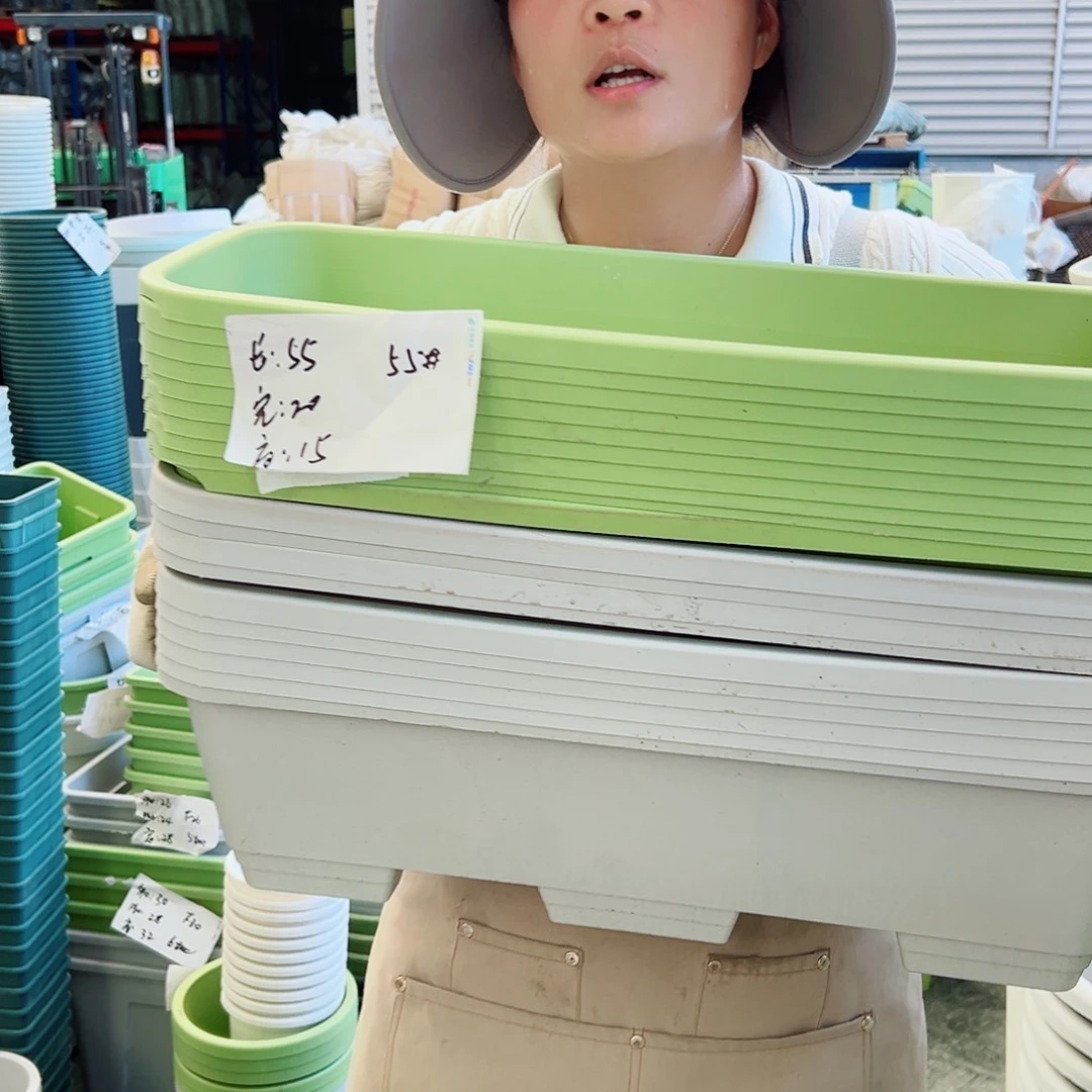 瑕疵菜盆长55#果绿5个无托