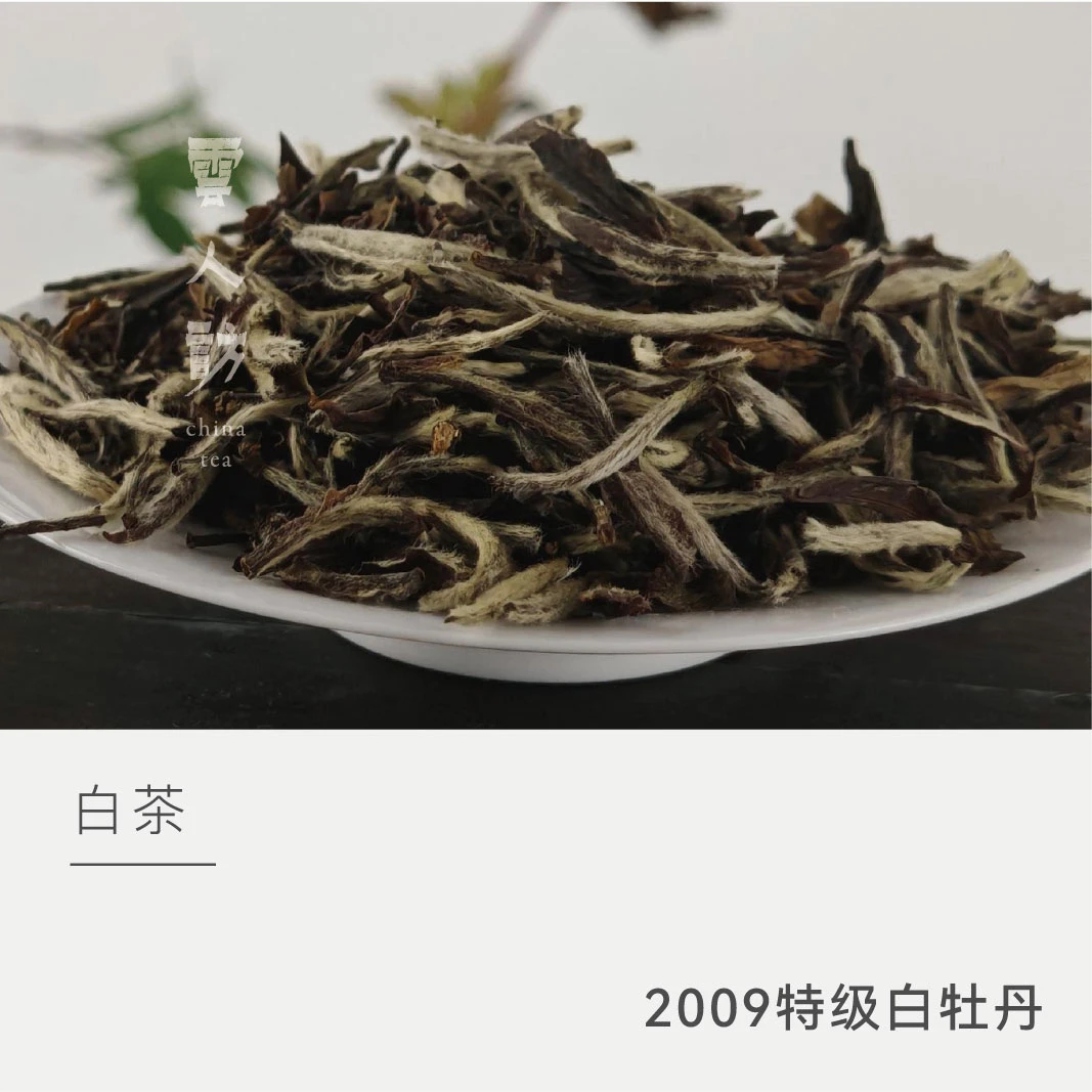 2009年特级白牡丹 银龙 福鼎白茶 云人访甄选20克
